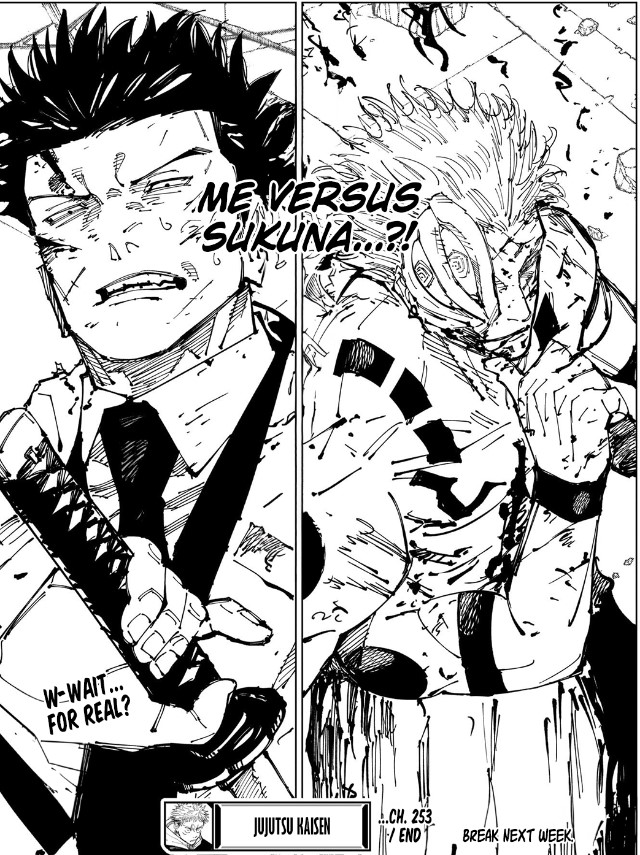 Jujutsu Kaisen 253 - fine