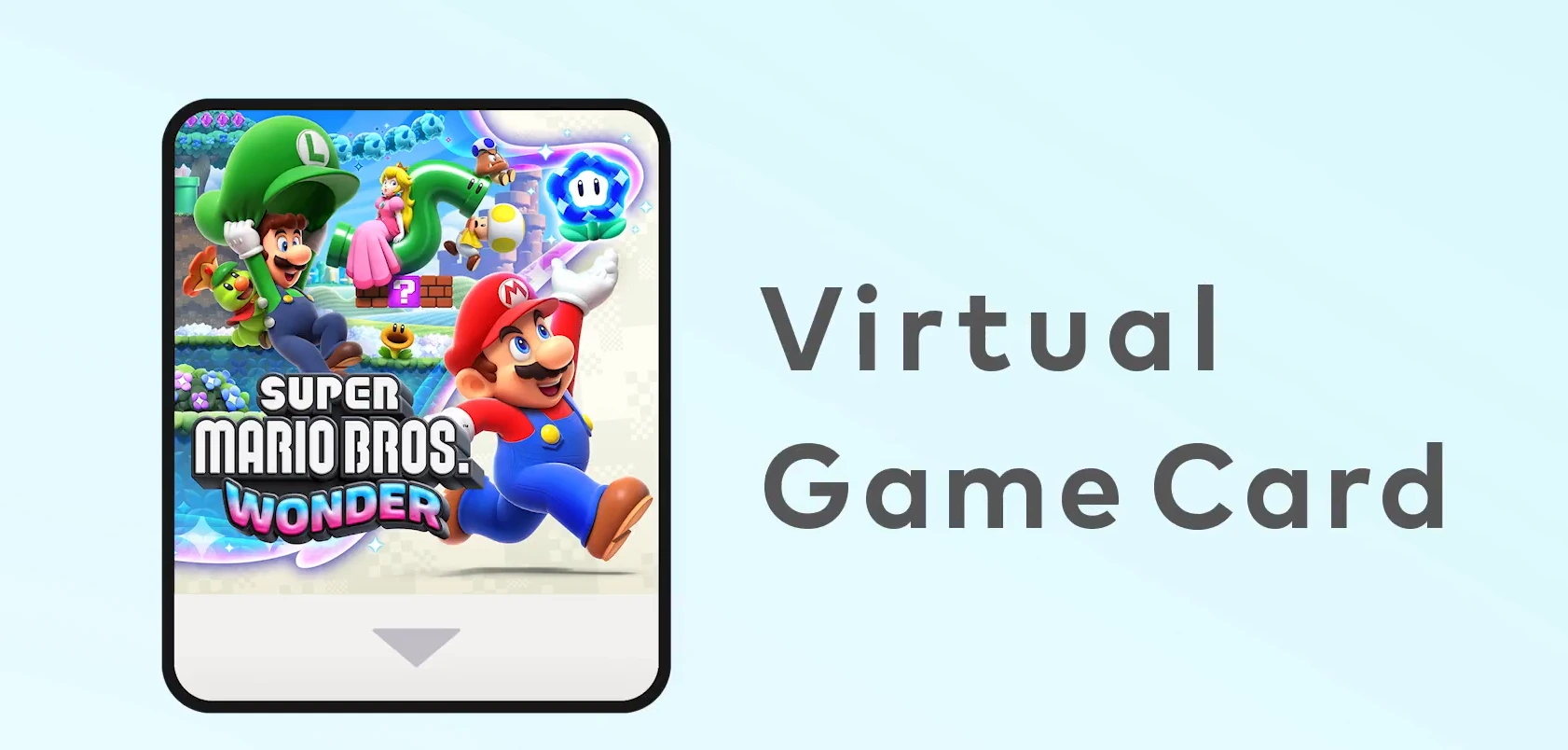 Nintendo Virtual Game Card