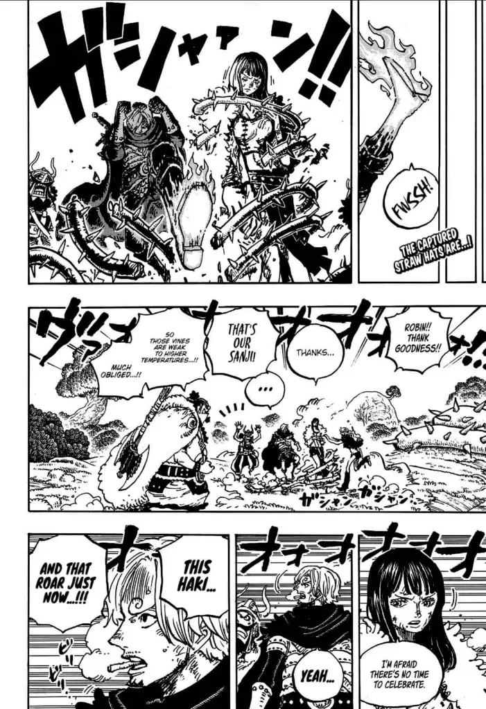 Sanji interviene per distruggere le spine e liberare Robin